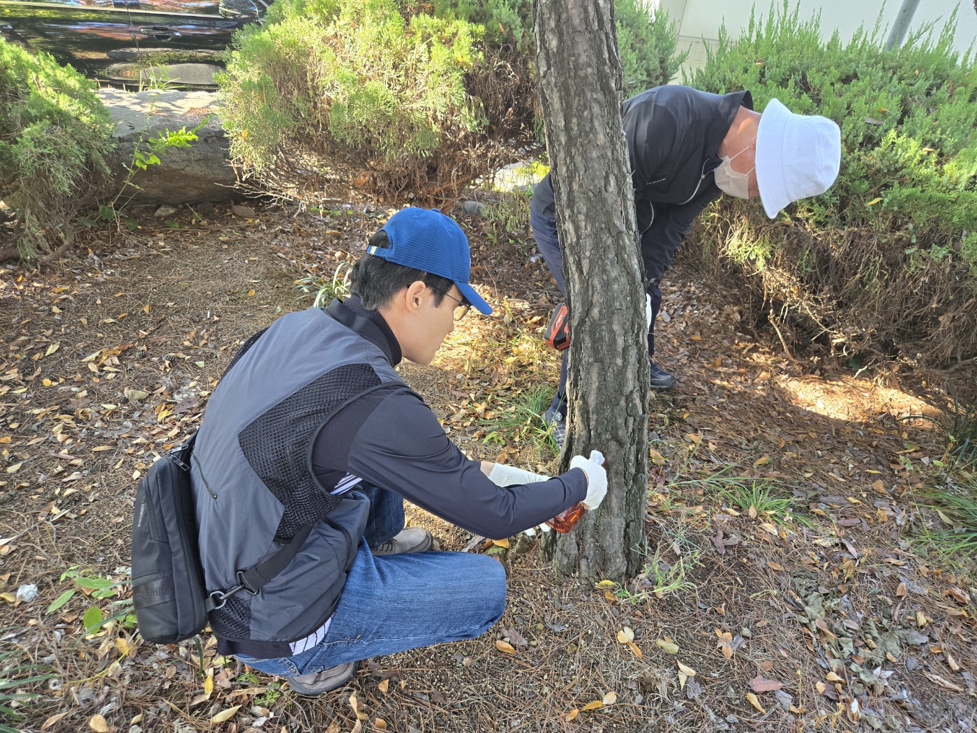 학과활동 이미지