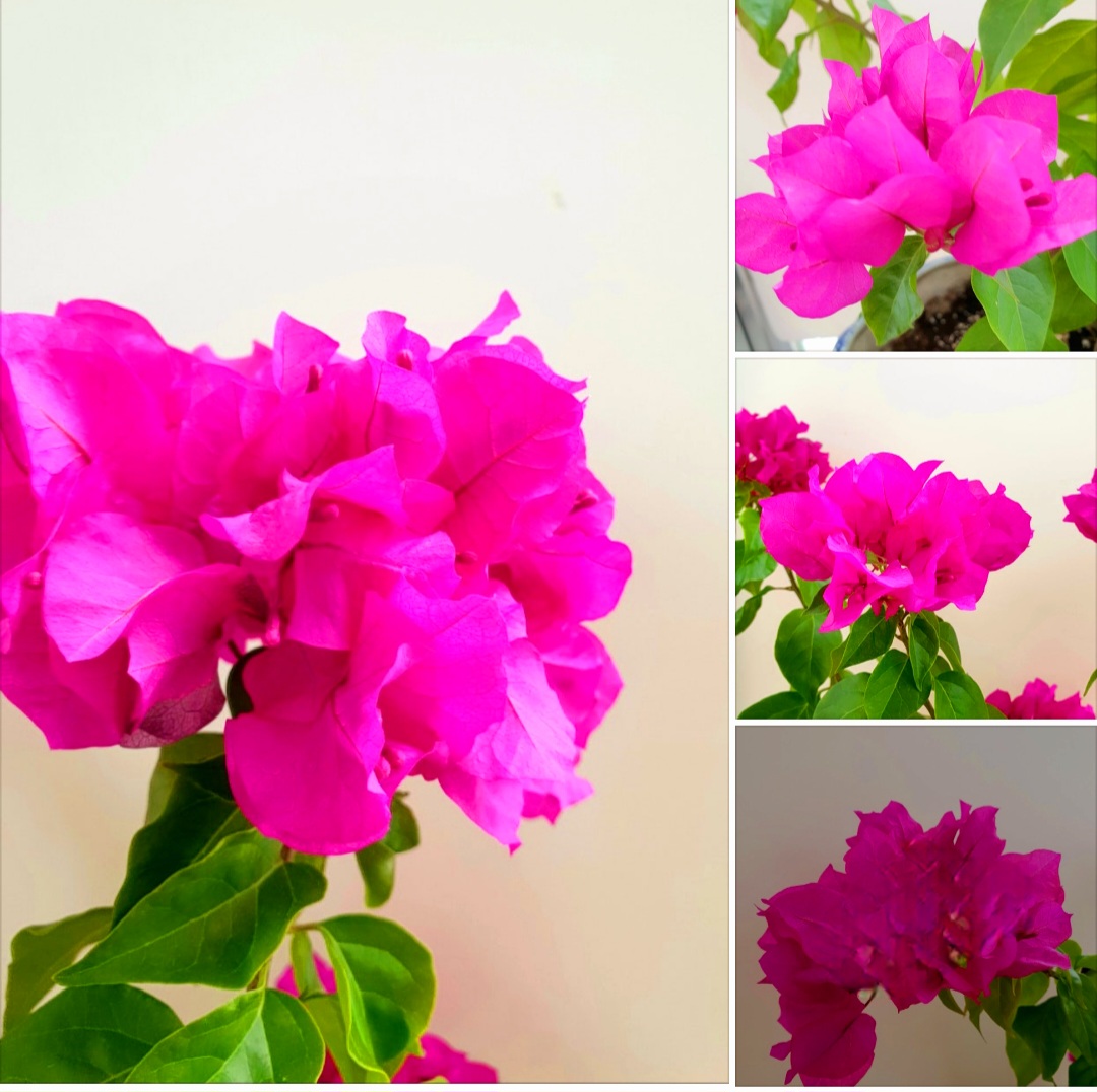 학과활동 이미지